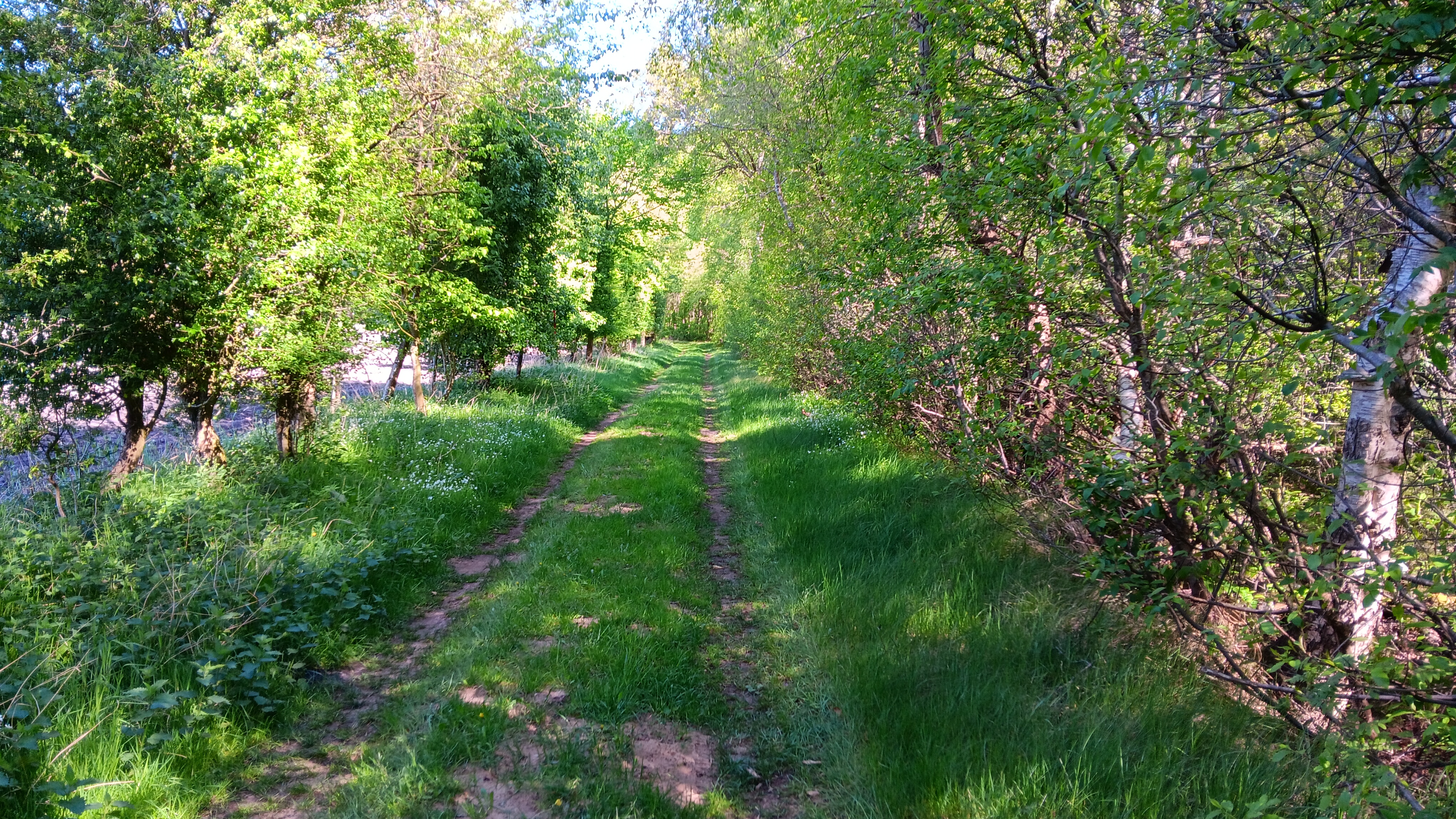 Kolonistenhof Weg 2