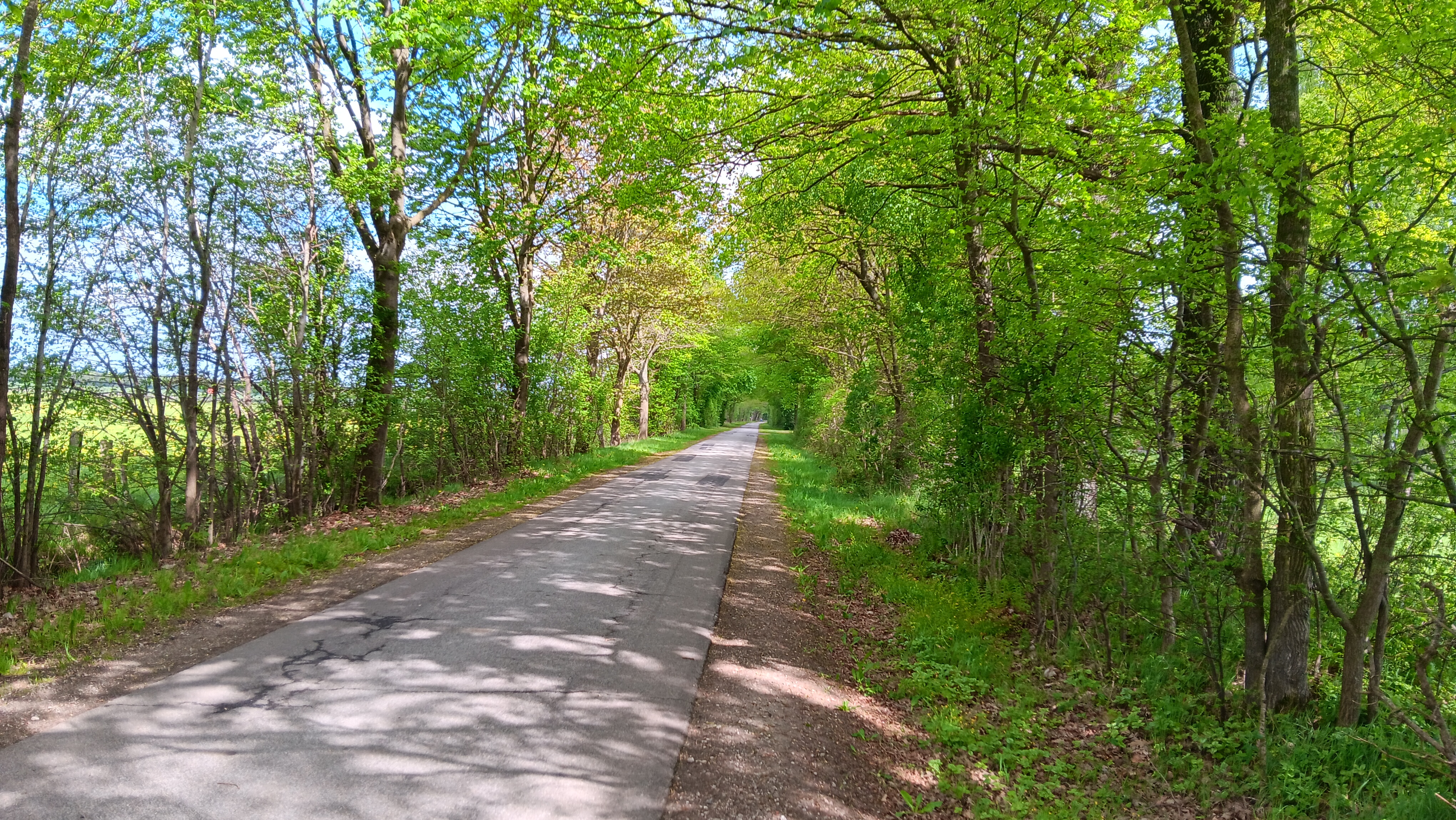 Padenstedt Weg 1